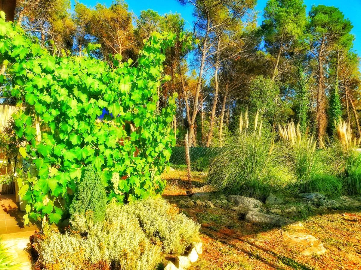 Pampas Studio, Self Check-In Πόρετς Εξωτερικό φωτογραφία